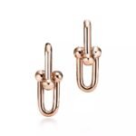 Tiffany HardWear Large Link Earrings