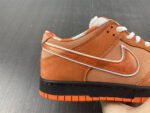 Concepts x Dunk Low SB Orange Lobster - Shoes - Image 12