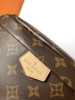 Louis Vuitton Bumbag Monogram Canvas Bag - Image 8
