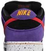 Dunk Low Pro SB ACG Terra - Shoes - Image 7