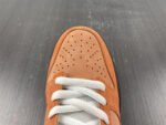 Concepts x Dunk Low SB Orange Lobster - Shoes - Image 14