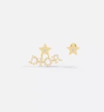 Dior evolution Earrings - Image 3