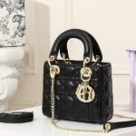 Dior The LADY D-LITE Bag