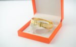 Hermes Clic H Bracelet Multi-Color - Image 14