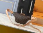 Louis Vuitton Rush Bumbag Monogram Archive - Bag - Image 2