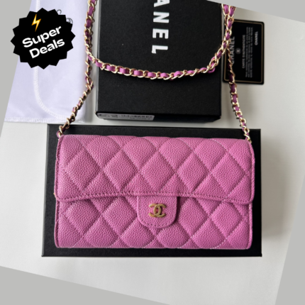 Chanel 23 Wallet on Chain- Pink Bag