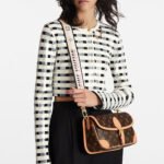Louis Vuitton LV Diane Monogram Canvas - Bag - Image 2