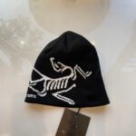 Arcteryx Bird head toque beanie - Hat - Image 3