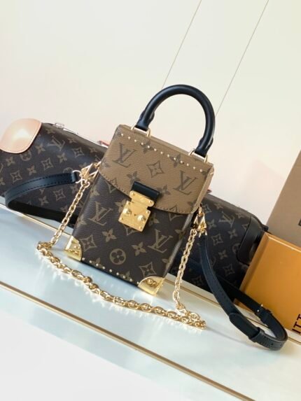 Louis Vuitton LV Monogram Camera Box bag