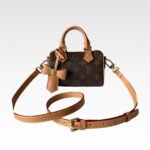Louis Vuitton x Murakami LV x TM Nano Speedy Bag