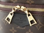 Louis Vuitton Rush Bumbag Monogram Archive - Bag - Image 9