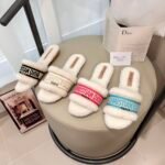 Dior Dway Shearling Flip Flops Golden Shoes - Image 10