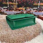 [TOP] Dolce & Gabbana Cowhide Crossbody Bag - Green Bag - Image 9