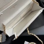 Chanel Classic Wallet On Chain Handbags - Bag - Image 9