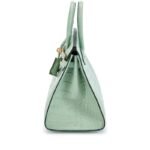 [TOP] Hermes Vert deau Matte Mississippiensis Alligator Birkin Sellier Gold Hardware - Image 5