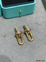 Tiffany HardWear Large Link Earrings - Image 3