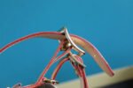 Louis Vuitton LV Boite Chapeau Souple MM Bag - Image 10