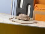 Louis Vuitton Bicolor Monogram Empreinte Leather Mini Bumbag - Bag - Image 6