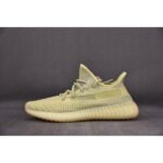 Yeezy Boost 350 V2 Antlia FV3250