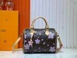 Louis Vuitton x Murakami LV x TM Speedy - Bag