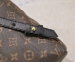 Louis Vuttion LV Palm Springs Backpack - Bag - Image 6