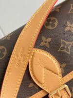Louis Vuitton LV Diane Monogram Canvas - Bag - Image 8