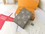 Louis Vuitton LV Wallets Card Holders Passport Holder - Wallet - Image 4