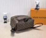 Louis Vuttion LV Palm Springs Backpack - Bag - Image 4