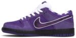 Concepts x Dunk Low SB Purple Lobster - Shoes - Image 3