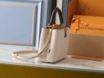 Louis Vuitton Capucines Taurillon leather - Galet / Tan / Chocolate - Image 3