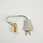 Hermes Birkin Gris Neve (0W) Togo Gold Hardware - Image 4