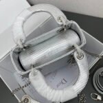 Dior lady bag 17cm lizard bag-Silver - Bag - Image 7
