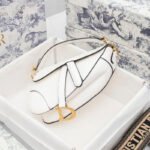 Dior Saddle Latte Grained Calfskin Bags With Wide Strap - Bag - Image 3