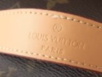 Louis Vuitton Rush Bumbag Monogram Archive - Bag - Image 5