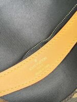 Louis Vuitton LV Diane Monogram Canvas - Bag - Image 10