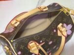 Louis Vuitton x Murakami LV x TM Speedy - Bag - Image 8