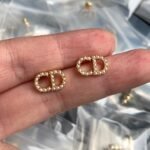 CD Dior Letter Earring - Accessories