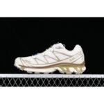 Salomon XT-6 URTLEDOVE/VINTAGE KHAKI/KELP - Shoes