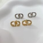 CD Dior Letter Earring - Accessories