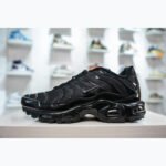 Nike Air Max Plus - Shoes