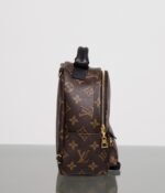 LOUIS VUITTON LV Monogram Palm Springs Backpack Mini - Bag - Image 4