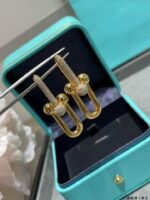 Tiffany HardWear Large Link Earrings - Image 4