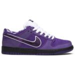 Concepts x Dunk Low SB Purple Lobster - Shoes