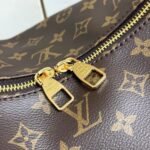 Louis Vuitton LV Monogram Slouchy - Bag - Image 12
