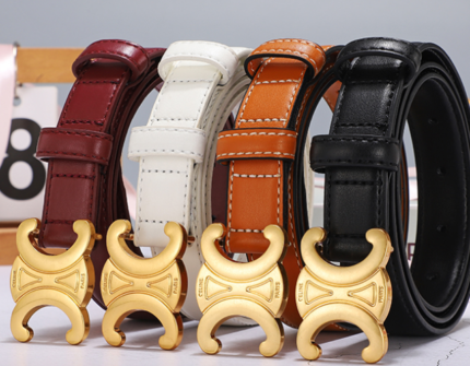 Celine Belt Multicolors