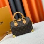 Louis Vuitton Speedy Trunk 20 Original Monogram Color - Bag