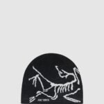 Arcteryx Bird head toque beanie - Hat