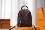 [TOP] LOUIS VUITTON LV Monogram Palm Springs Backpack Mini - Bag - Image 4