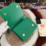 [TOP] Dolce & Gabbana Cowhide Crossbody Bag - Green Bag - Image 7