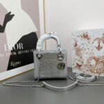 Dior lady bag 17cm lizard bag-Silver - Bag